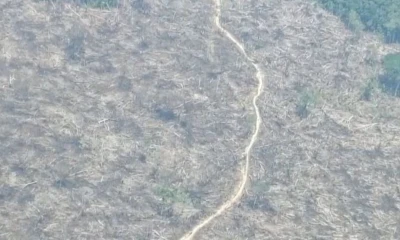 Estas actividades se registran en zonas cercanas o dentro de parques nacionales / Foto: cortesía Antonio Paz