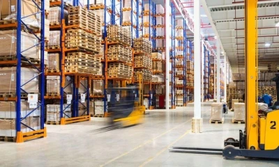 El sector forestal exportó más de 737 millones de dólares en 2025 a nivel global / Foto: cortesía Ekos