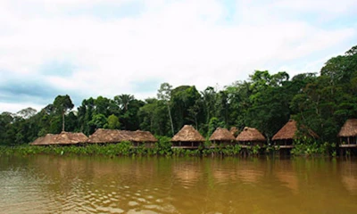 Resumen Medios Nacionales - 25  de enero de 2021 / Foto: Shutterstock