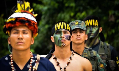 10 curiosidades de la Amazonía ecuatoriana 