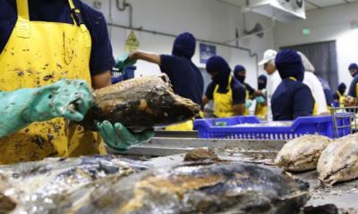 Ecuador, mayor exportador mundial de camarones, reporta más de 1,2 millones de toneladas exportadas durante 2023, en cuanto a la producción de camarón de cultivo.