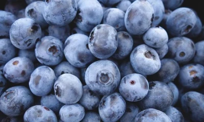 Entre enero y agosto de 2025, el intercambio comercial entre ambos países mostró un crecimiento sostenido / Foto: cortesía