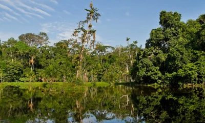 La provincia amazónica de Orellana está ubicada en la Región Nororiente del Ecuador siendo su capital la ciudad de Francisco de Orellana / Foto: Shutterstock