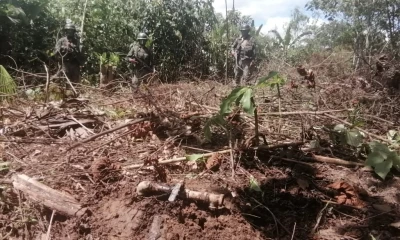 Militares encontraron pinchazo y planta clandestina en Sucumbíos / Cortesía de las Fuerzas Armadas