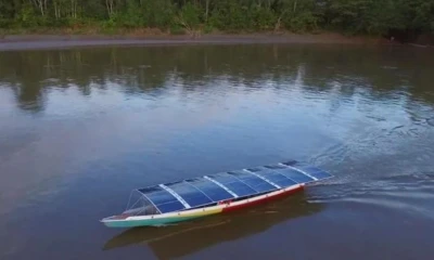En la selva, el sonido es fundamental para que muchas especies puedan comunicarse, orientarse y reproducirse / Foto: cortesía Solar Ecuador