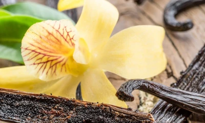 Más de 100 familias en la Provincia de Napo, la cultivan dentro del sistema chakra/ Foto: cortesía