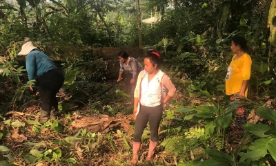 Indígenas valoran reciente fallo de la Corte Constitucional / Foto: EFE