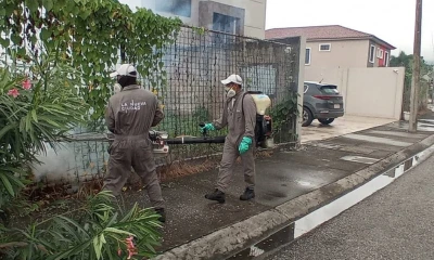 El ministerio de Salud investiga posible caso de verruga peruana en Guayaquil / Foto: Google Images