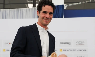 Josep Alcácer no cuenta con la licencia que otorga la Confederación Sudamericana de Fútbol (Conmebol) / Foto: EFE