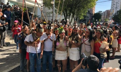 Fundación Pachamama