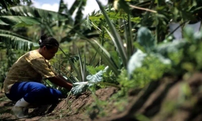 Sin embargo, las provincias de El Oriente tienen bajas tasas de empleo adecuado / Foto: cortesía  BID