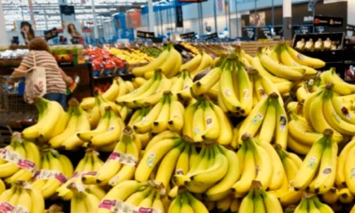 El banano es uno de los productos estrella de Ecuador en Estados Unidos / Foto: cortesía Banana Export