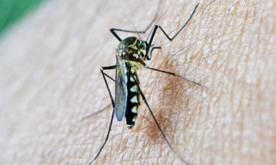 Principales noticias de Ecuador hoy - 8 de noviembre de 2023 / Foto: cortesía 