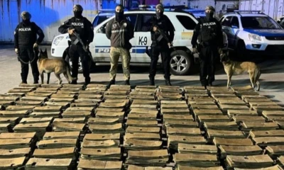 La droga fue detectada gracias a un perro antidrogas / Foto: cortesía Policía 