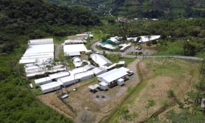 Solgold contempla un plazo de año y medio para obtener las licencias ambientales / Foto: cortesía SolGold