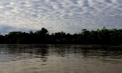 'Come to the Rainforest' es una organización que opera en la región amazónica ecuatoriana desde 2010 / Foto: El Oriente