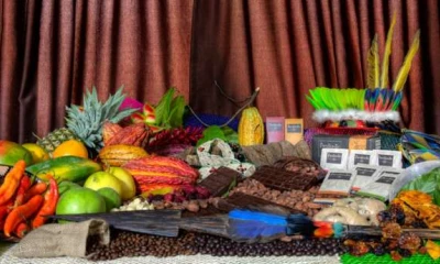 Los cofanes aún utilizan productos que se encuentran en el sector - Foto: La Hora