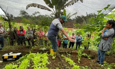 Los paquetes forman parte del Proyecto Nacional de Semillas para Agrocadenas Estratégicas / Foto: cortesía ministerio de Agricultura