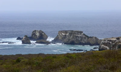 Fondo Verde aprueba $ 117,6 millones para acciones en Galápagos / Foto: EFE