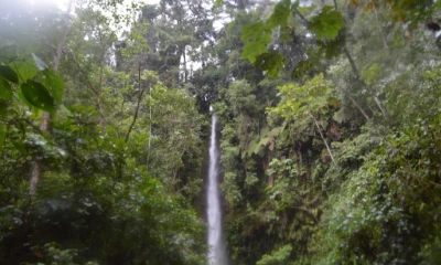 Cascada Hola Vida. Foto: Expreso