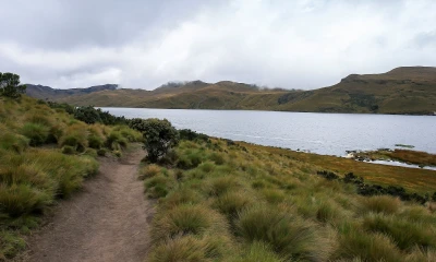 Ecuador avanza hacia la transición ecológica / Foto: EFE