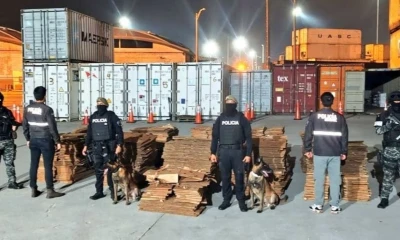 La acción policial se llevó a cabo en uno de los puertos marítimos de la ciudad de Guayaquil / Foto: cortesía Policía Nacional