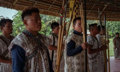 La Reserva Kakataibo, reconocida en 2021, ya perdió más de 6.700 hectáreas de bosque / Foto: cortesía VisitProject