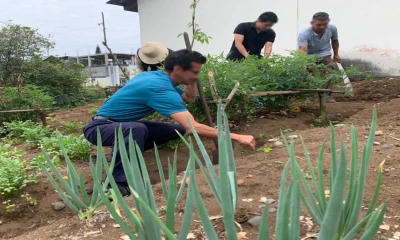 Se extendieron las actividades para incidir de forma positiva en los pacientes / Foto: cortesía Ministerio de Salud