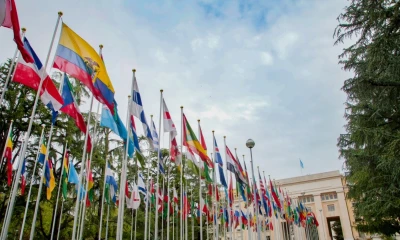 ONU adopta iniciativa de Ecuador y Perú sobre transferencia ilícita de armas / Foto: EFE