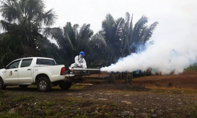 Napo registra 1.363 casos de dengue en 2024 / Foto: cortesía Exprésate Morona Santiago 