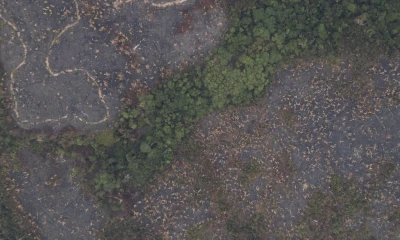 La Amazonía ha sido el bioma más afectado por la minería / Foto: EFE