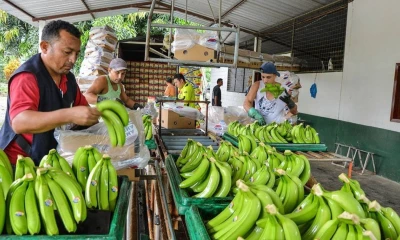 Los fletes han subido entre 200 y 600 dólares por contenedor, dependiendo del destino / Foto: cortesía Colsiba