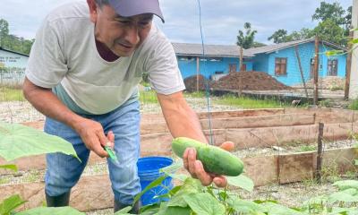 La intervención se desarrolla a través de la Agencia de Extensionismo Rural (AER) / Foto: cortesía MAGP
