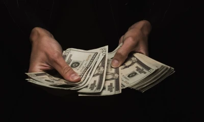 El estudio señala que más del 99 % de los socios son personas naturales y que 8 de cada 10 no tienen educación superior / Foto: Pixabay