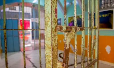 El sicariato aterroriza al país /Foto: Shutterstock