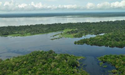 Entre abril de 2024 y marzo de 2025 se habrían deforestado alrededor de 56.719 hectáreas/ Foto: cortesía