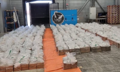 El contenedor cargaba 8.064 kilos de cocaína y que llegó a Róterdam pasando por Panamá con la droga escondida entre plátanos/ Foto: cortesía Openbaar Ministerie Rotterdam