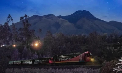 El recorrido del Tren Nocturno estará disponible de jueves a domingo, desde las 20:00 / Foto: cortesía MIT
