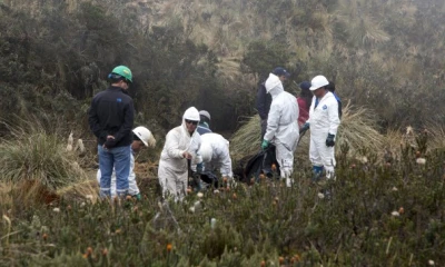 Foto: Ecuador en Vivo