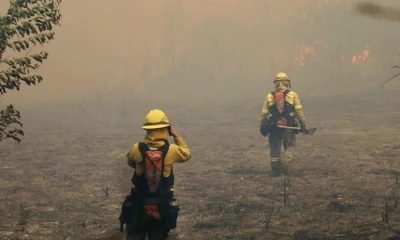 Enormes llamaradas han consumido bosques y amenazan con llegar a sitios poblados de la zona / Foto: cortesía Bomberos Quito