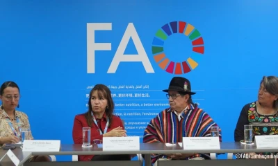 La alianza también contempla la revisión y contextualización de las guías alimentarias impulsadas por la FAO / Foto: cortesía FAO