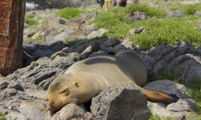 Galápagos y Azuay lideraron la ocupación hotelera / Foto: cortesía Ministerio de Turismo