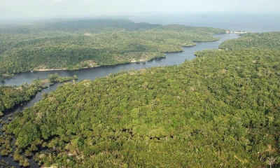 La panamazonía registró más de 1.300 conflictos por tierras en solo dos años / Foto: EFE