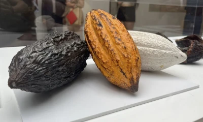 La exposición se lleva a cabo en el Real Jardín Botánico-CSIC./ Foto: cortesía EFE