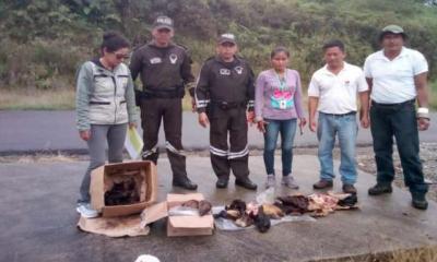 Las especies identificadas durante este operativo se encuentran en diferentes categorías de amenaza listadas en el Libro Rojo de Mamíferos del Ecuador. Foto: La Hora