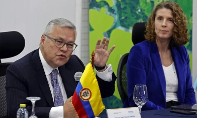 En este año se registraron 204.000 hectáreas sembradas mientras que en 2020 esa cifra fue de 143.000 hectáreas / Foto: EFE