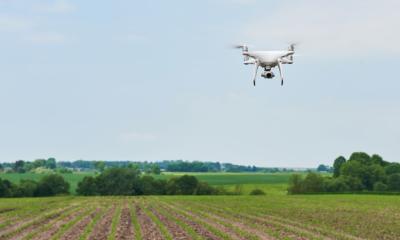 Los drones realizan mapeo y fumigación de precisión, evitando daños a las plantas y mejorando la seguridad de los operarios / Foto: cortesía