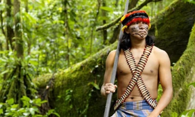 Habitan en un territorio de 679,000 hectáreas en las provincias de Pastaza y Morona Santiago/ Foto: cortesía