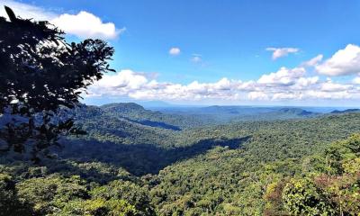 La iniciativa fue promovida por los gobiernos autónomos descentralizados provinciales de Napo y Pastaza / Foto: cortesía MAE