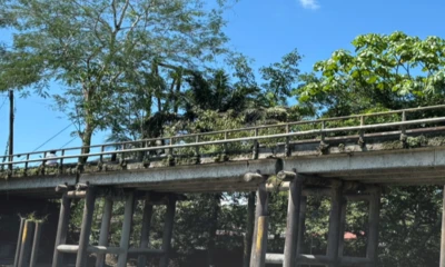 Las obras contemplan la edificación de los puentes sobre los ríos Shushufindi, La Norte y Quilindaña / Foto: cortesía MIT